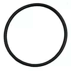 Plastica HeatSeeker Union O-Ring  52mm for Vertical 17kW 